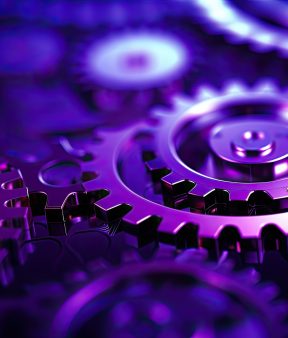 Servicios de desarrollo MVP